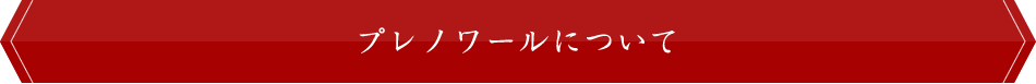 プレノワールについて